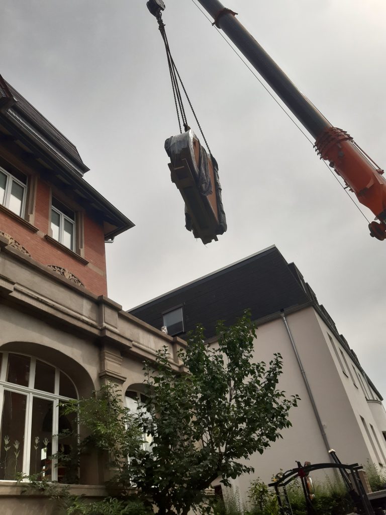 Ein Flügel flog in den Musi-Kuss